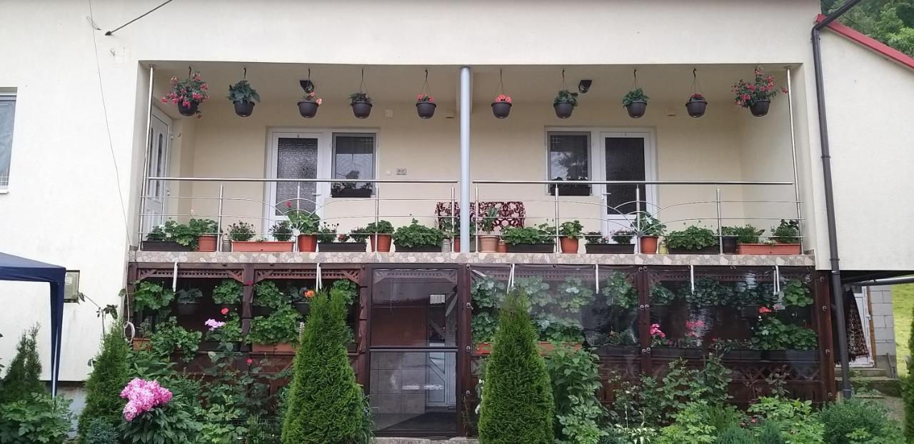 הוילה Casa Cosmina אריסני מראה חיצוני תמונה