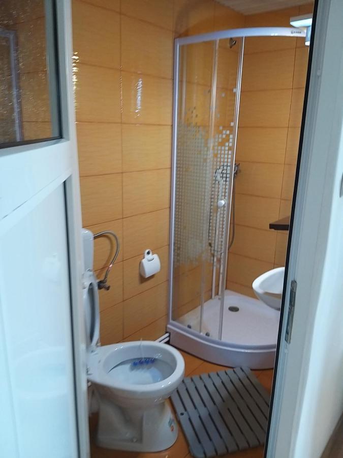 הוילה Casa Cosmina אריסני מראה חיצוני תמונה