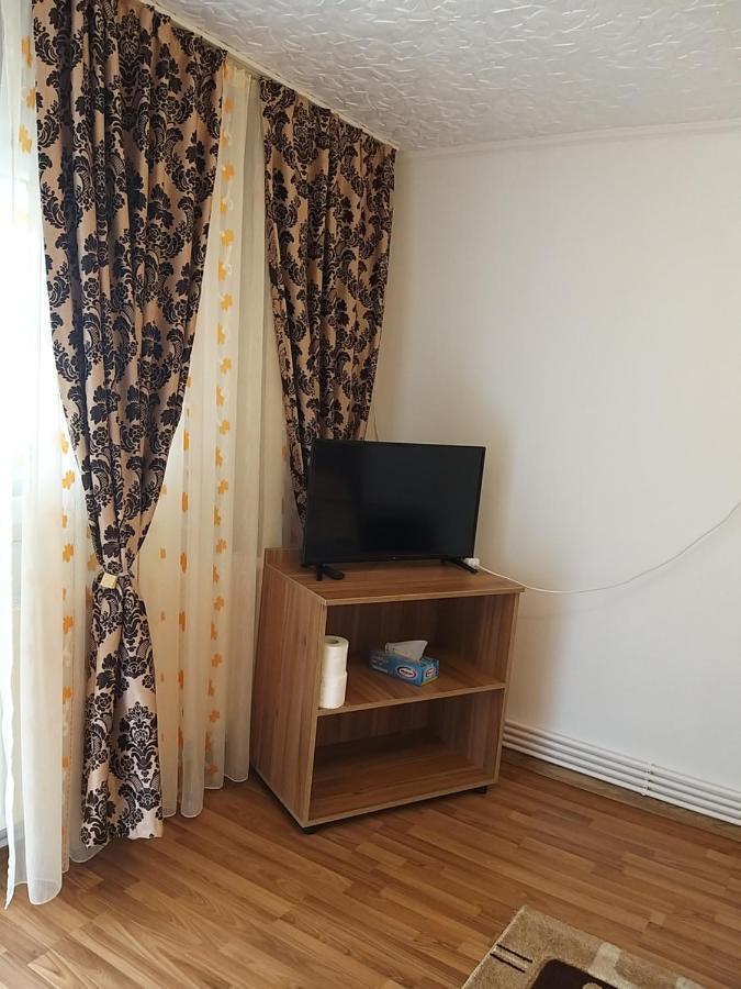 הוילה Casa Cosmina אריסני מראה חיצוני תמונה