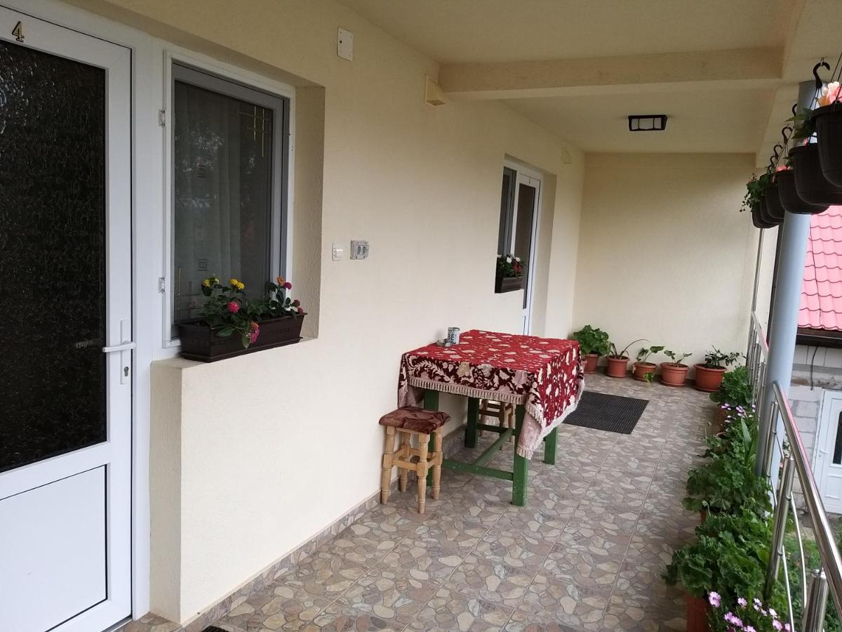 הוילה Casa Cosmina אריסני מראה חיצוני תמונה