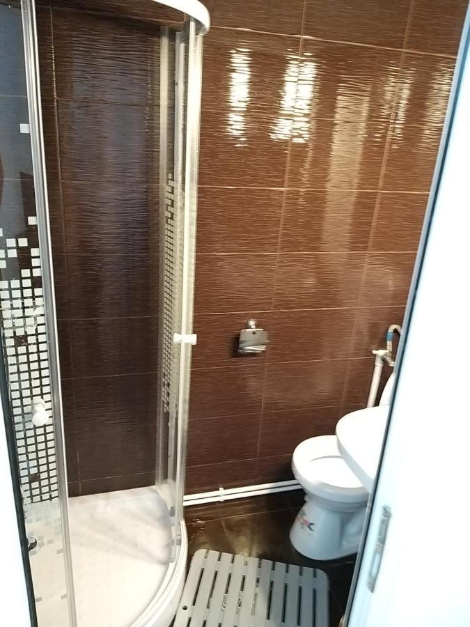 הוילה Casa Cosmina אריסני מראה חיצוני תמונה