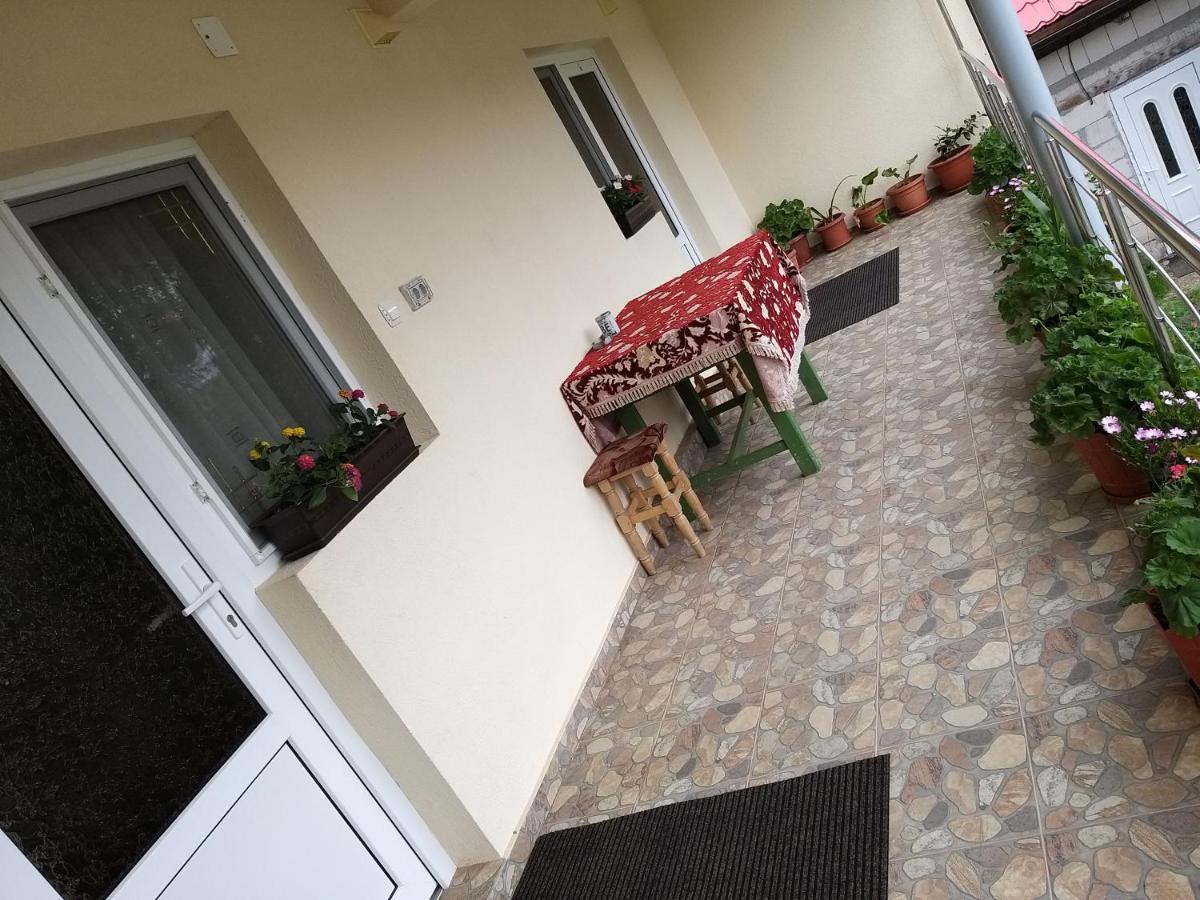 הוילה Casa Cosmina אריסני מראה חיצוני תמונה