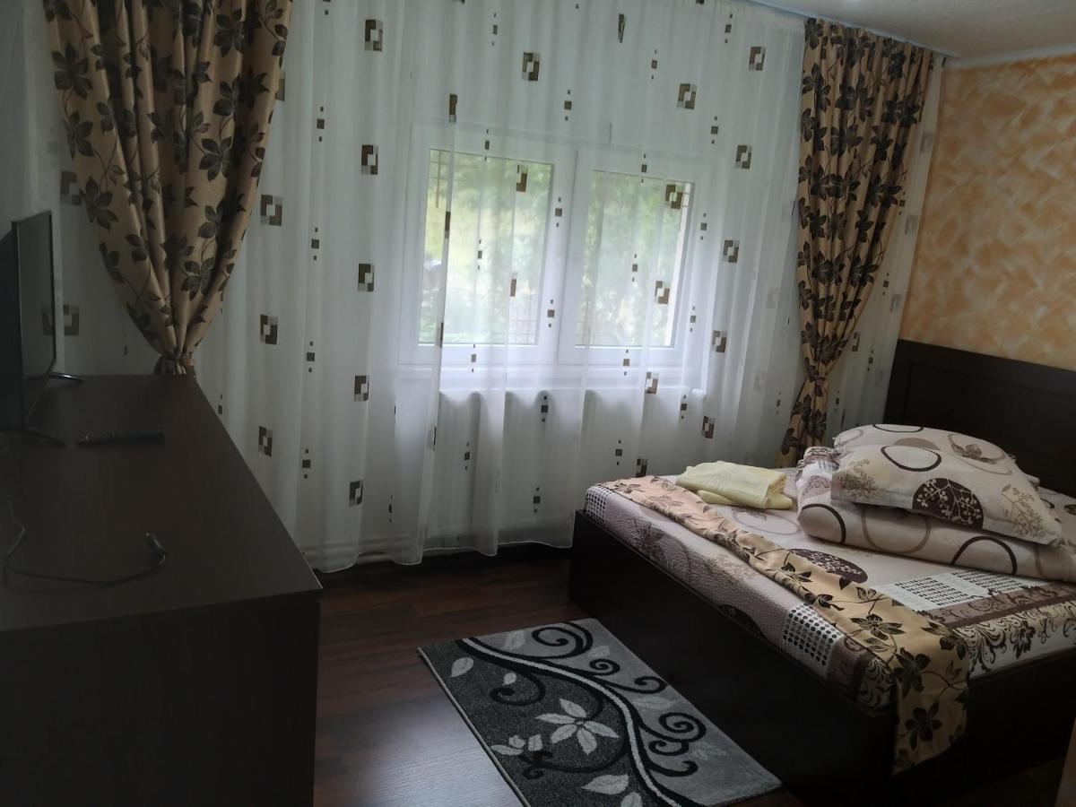 הוילה Casa Cosmina אריסני מראה חיצוני תמונה