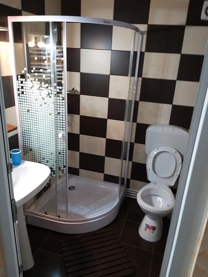 הוילה Casa Cosmina אריסני מראה חיצוני תמונה
