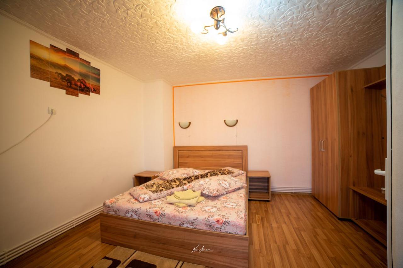 הוילה Casa Cosmina אריסני מראה חיצוני תמונה