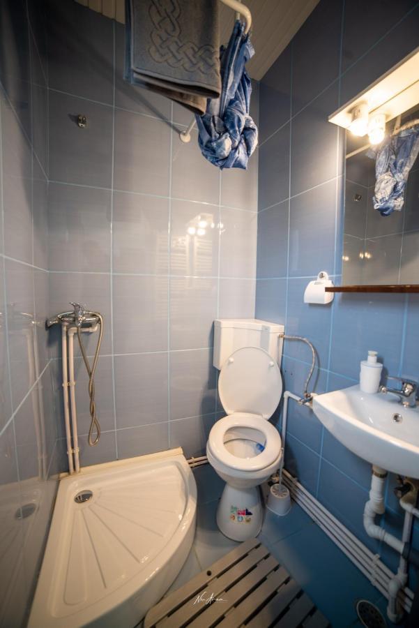 הוילה Casa Cosmina אריסני מראה חיצוני תמונה