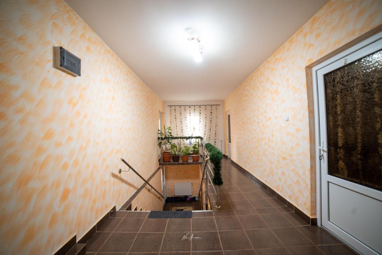 הוילה Casa Cosmina אריסני מראה חיצוני תמונה