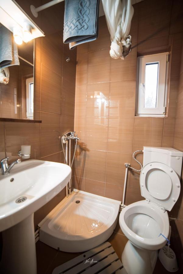 הוילה Casa Cosmina אריסני מראה חיצוני תמונה