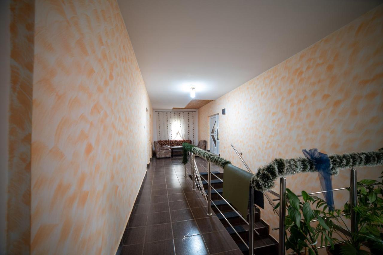 הוילה Casa Cosmina אריסני מראה חיצוני תמונה